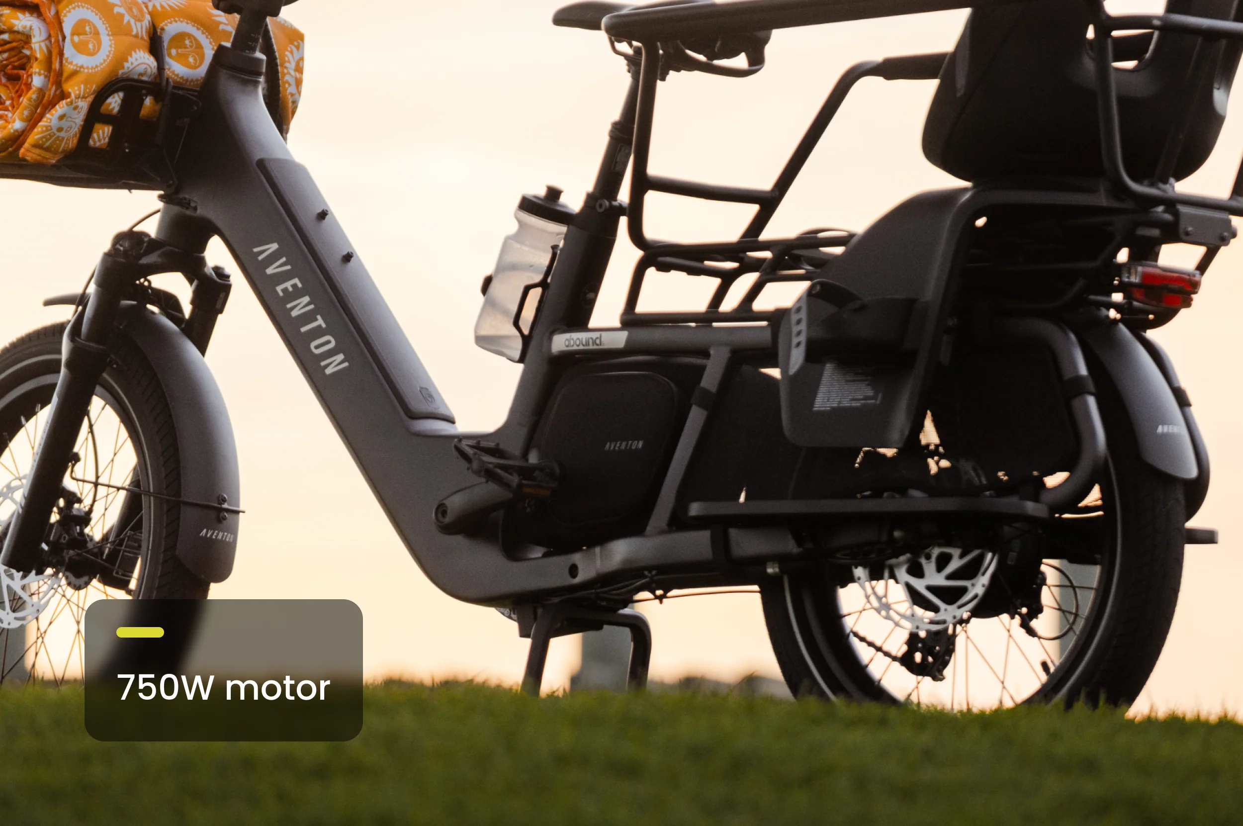 Abound LR Ebike - Image 11