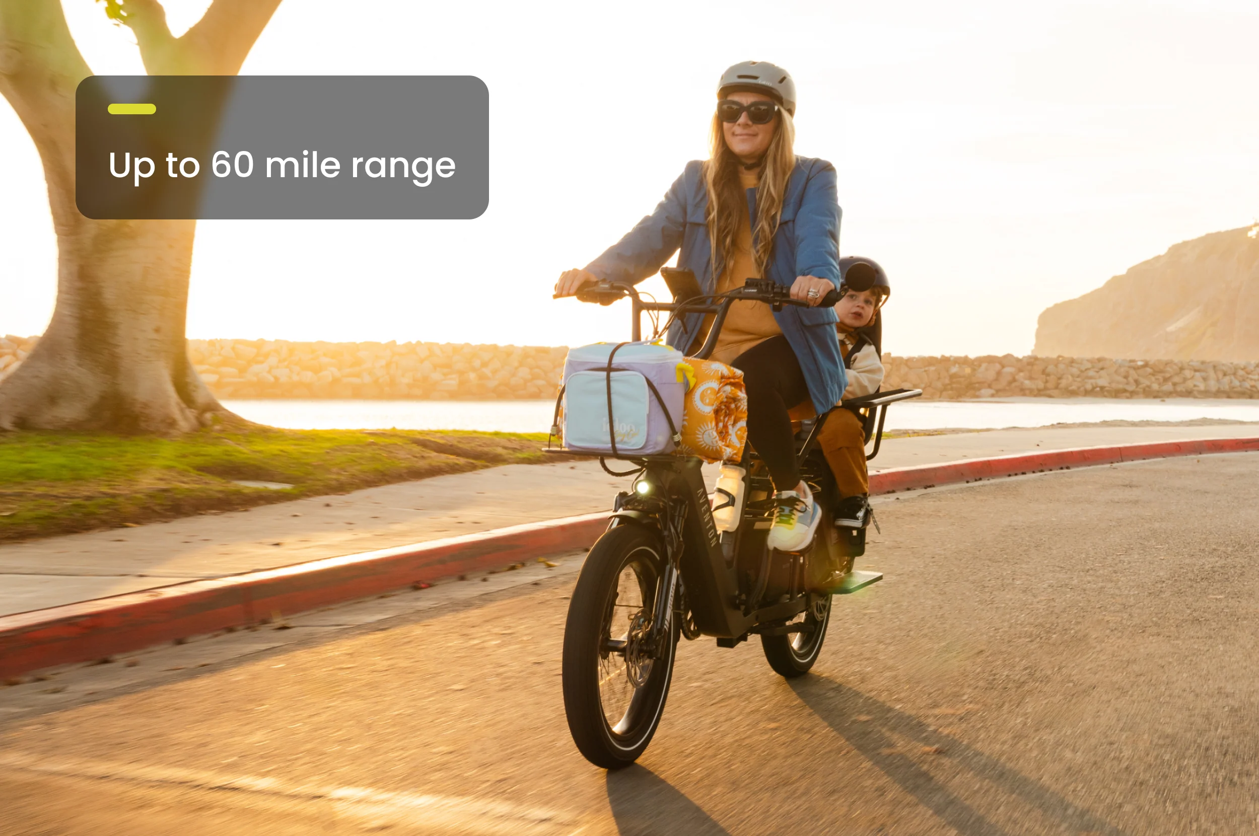 Abound LR Ebike - Image 13