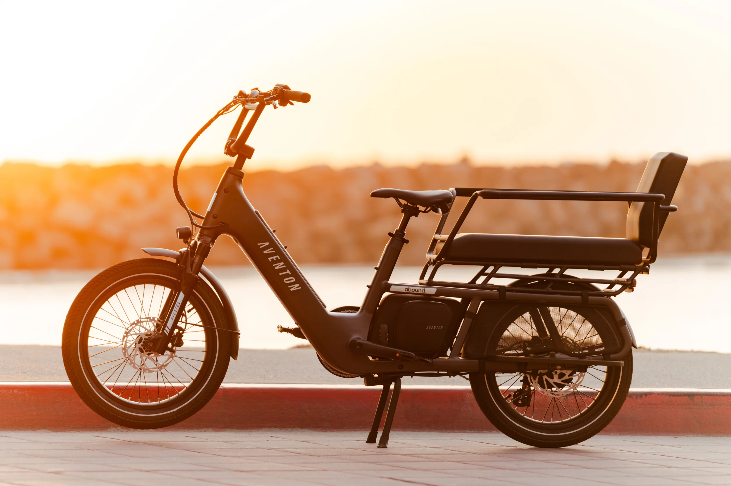Abound LR Ebike - Image 23
