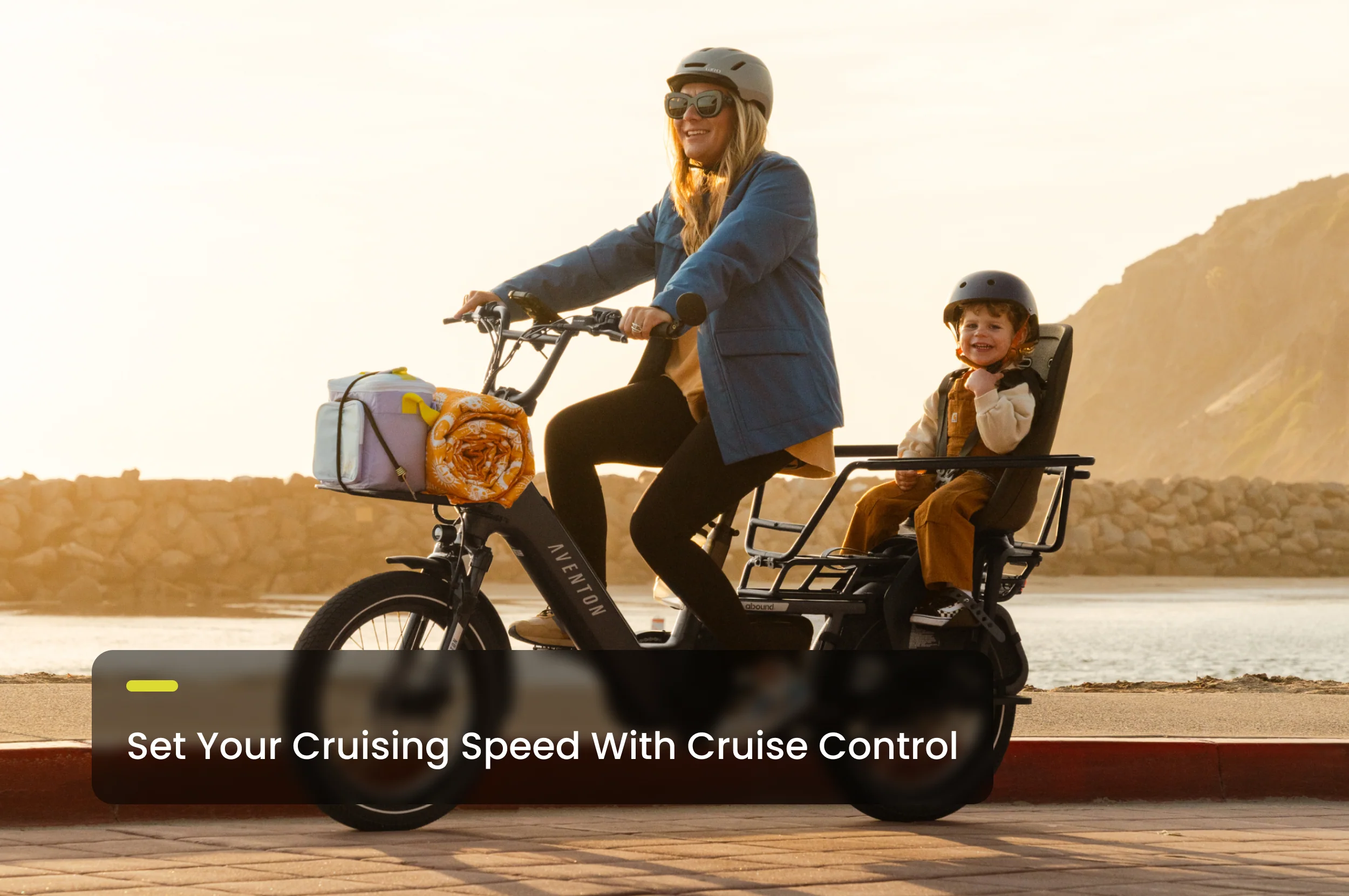 Abound LR Ebike - Image 8