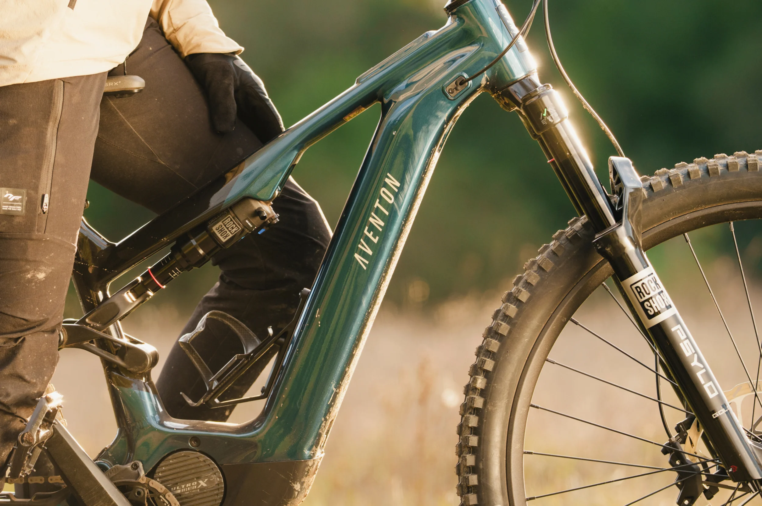 Current ADV Ebike - Image 12