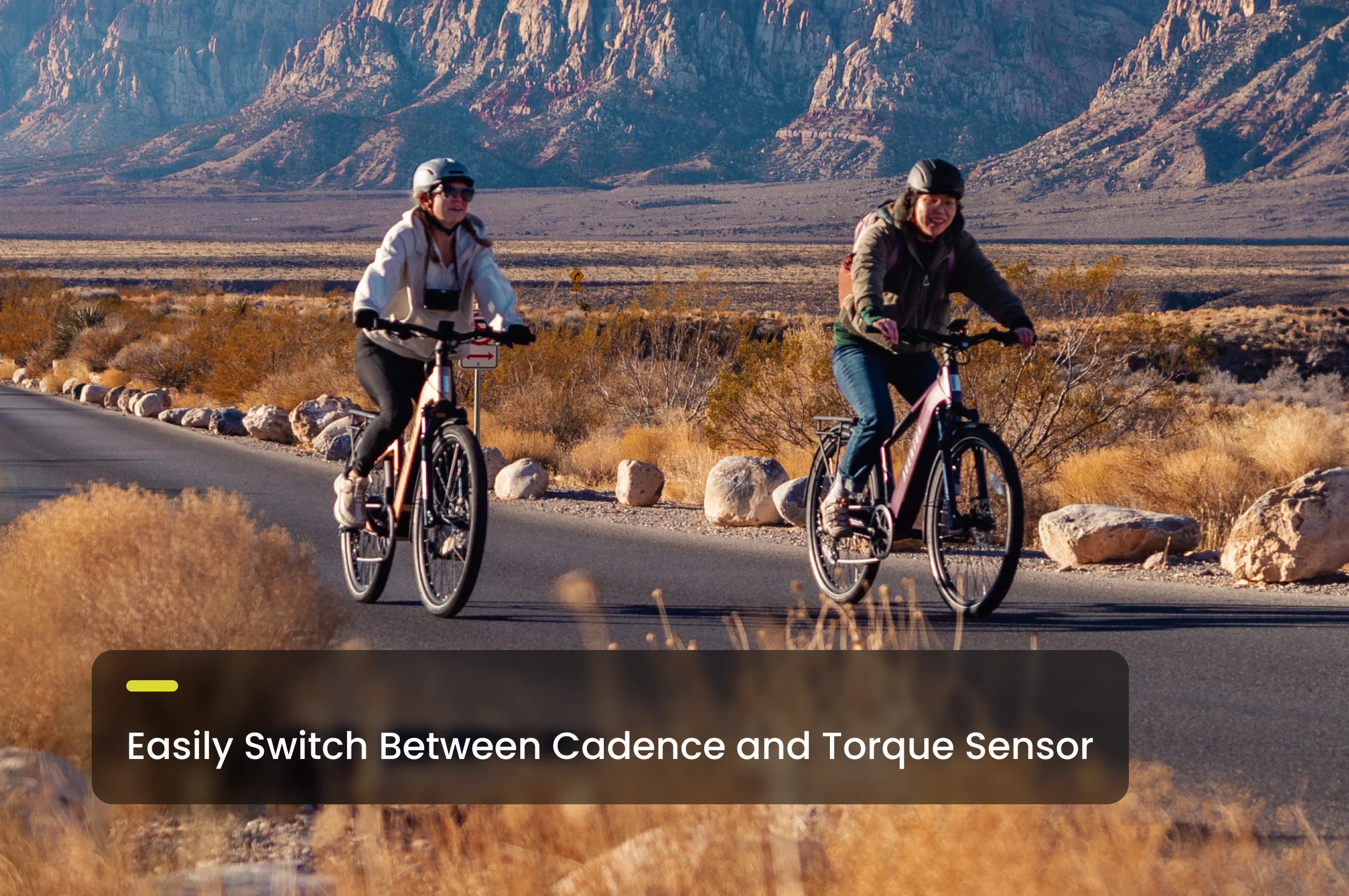 Level 3 Ebike - Image 8