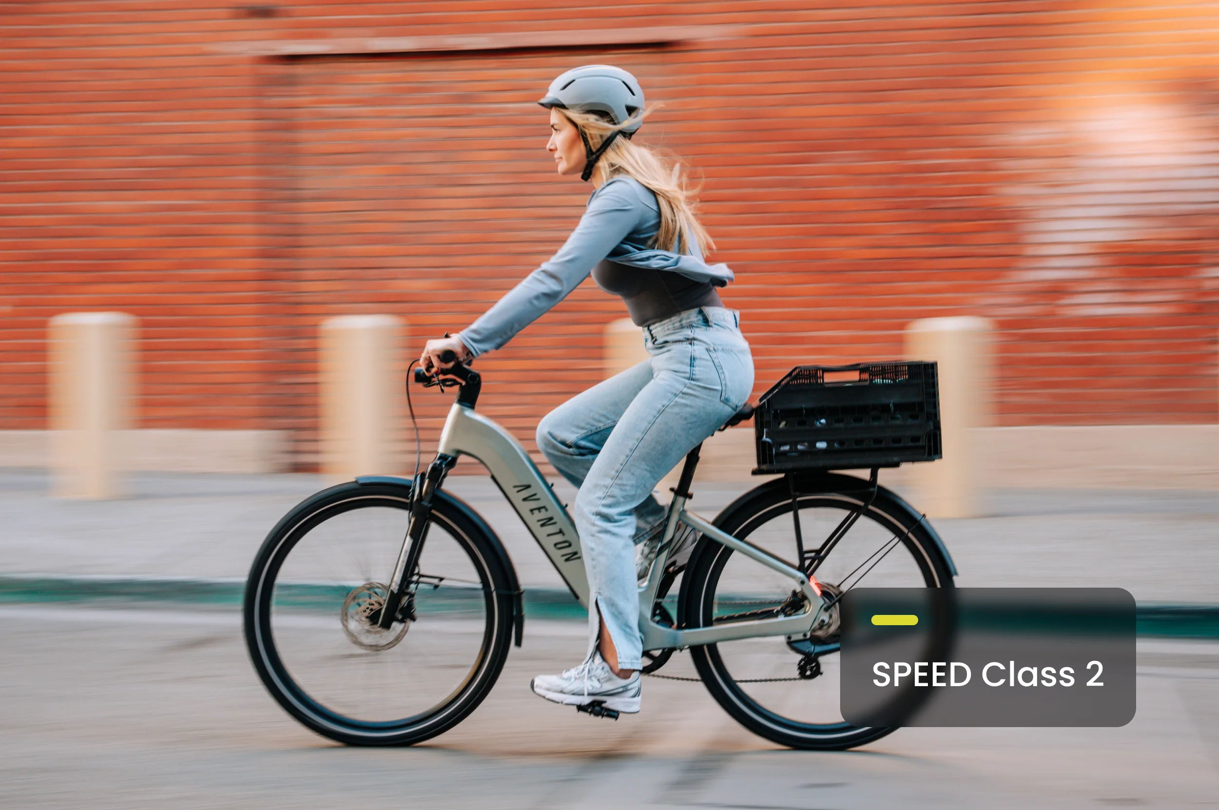 Level 3 Ebike - Image 10