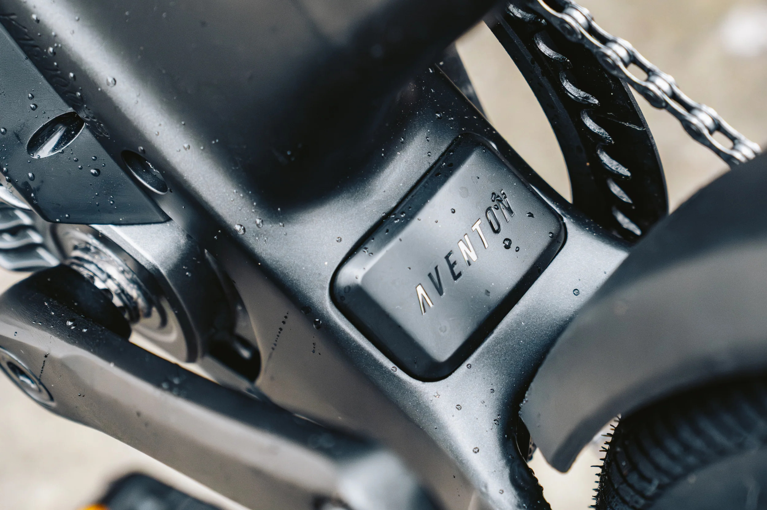 Level 4 ADV Ebike - Image 9
